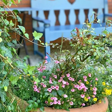 Апартаменты Hummergrund Muschel Санкт-Петер-Ординг