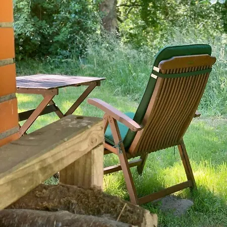 Hummergrund Muschel *