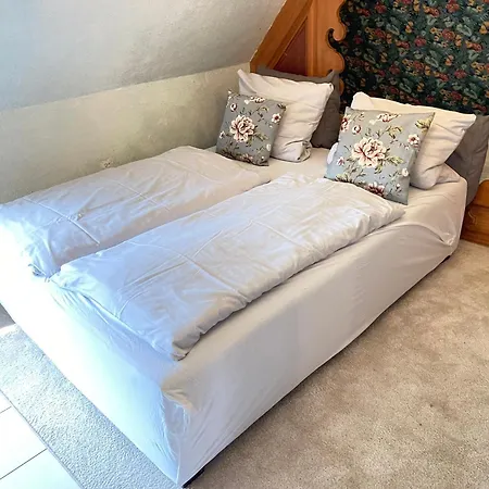 Hummergrund Muschel * Sankt Peter-Ording