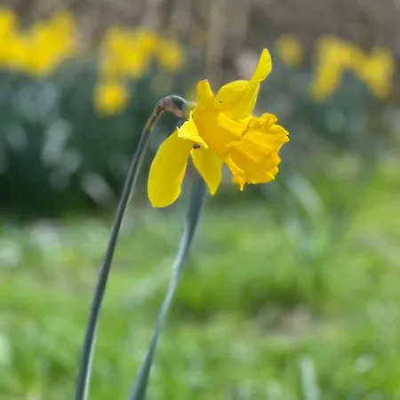 Διαμέρισμα Hummergrund Muschel Sankt Peter-Ording