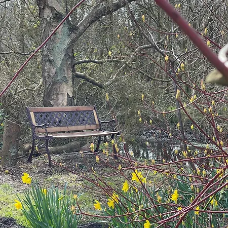 Hummergrund Muschel Санкт-Петер-Ординг